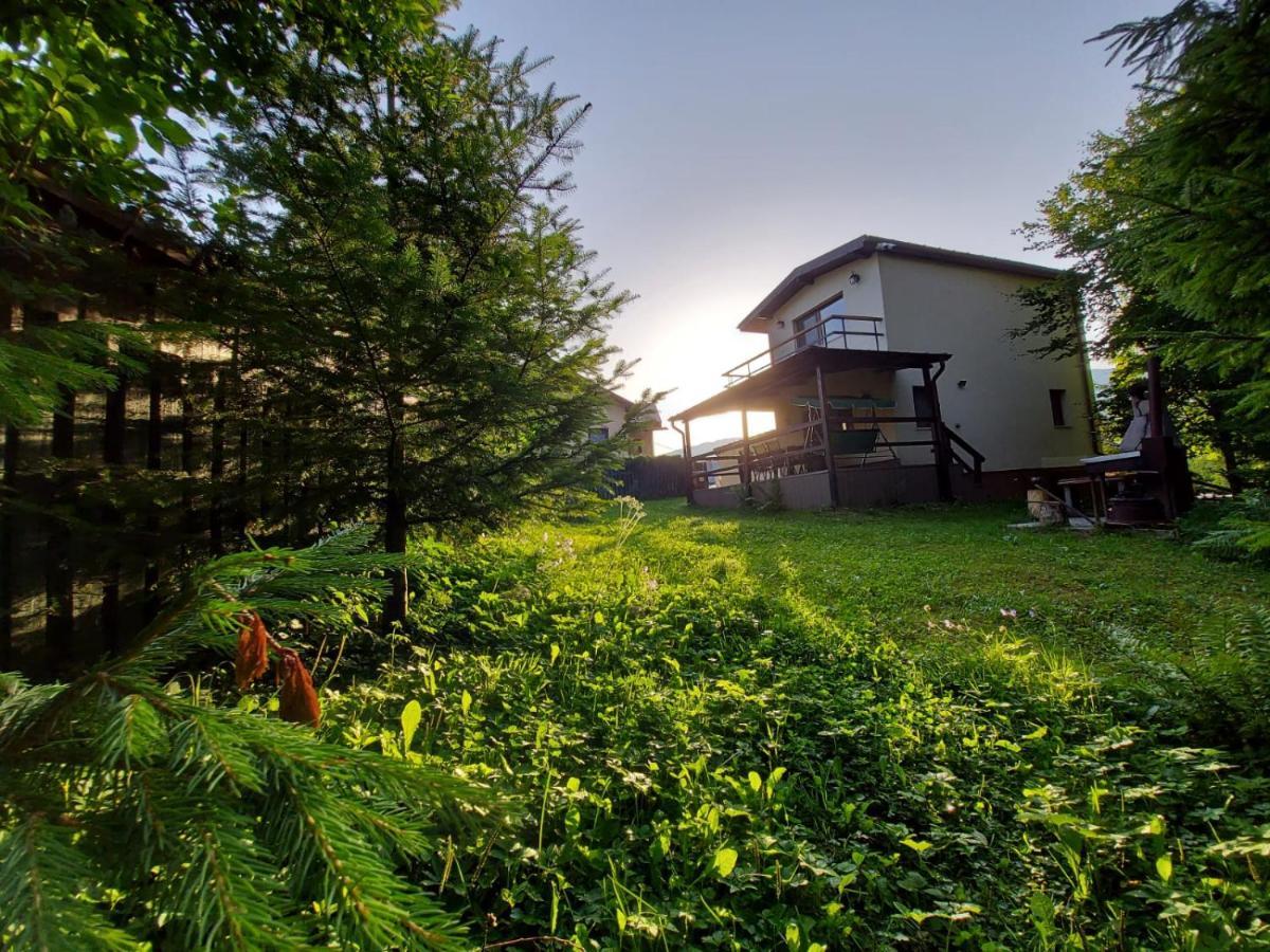 Buşteni C Houseヴィラ エクステリア 写真