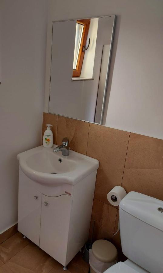 Buşteni C Houseヴィラ エクステリア 写真