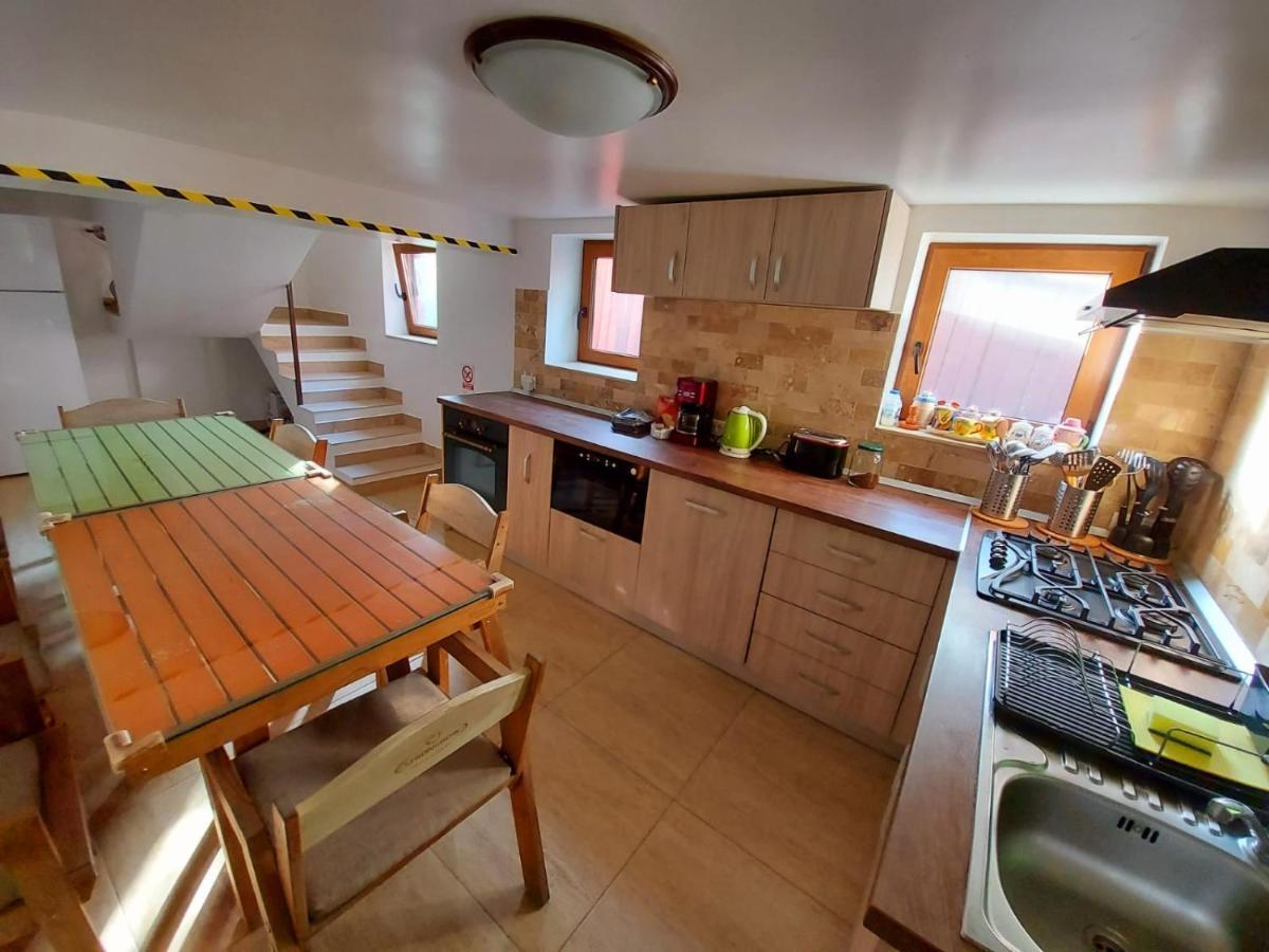 Buşteni C Houseヴィラ エクステリア 写真