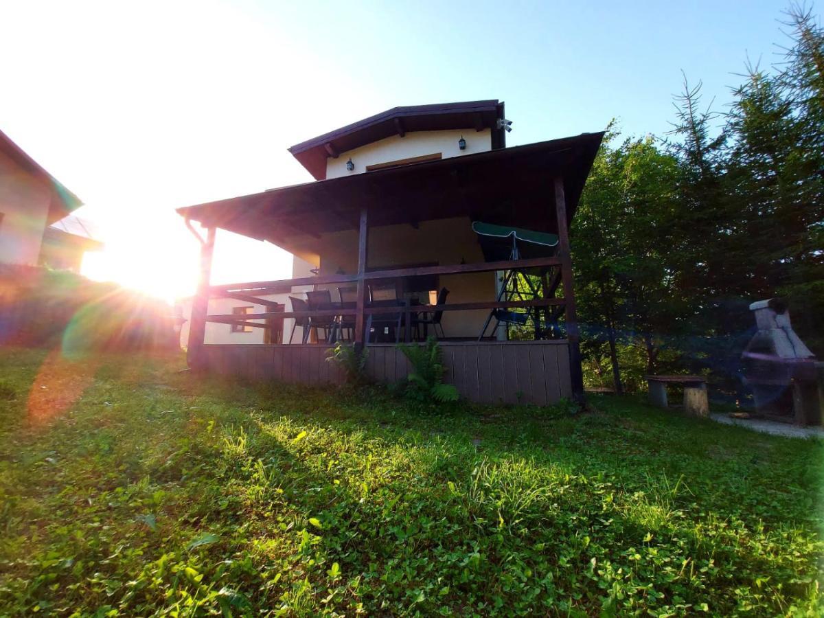 Buşteni C Houseヴィラ エクステリア 写真