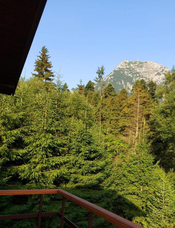 Buşteni C Houseヴィラ エクステリア 写真