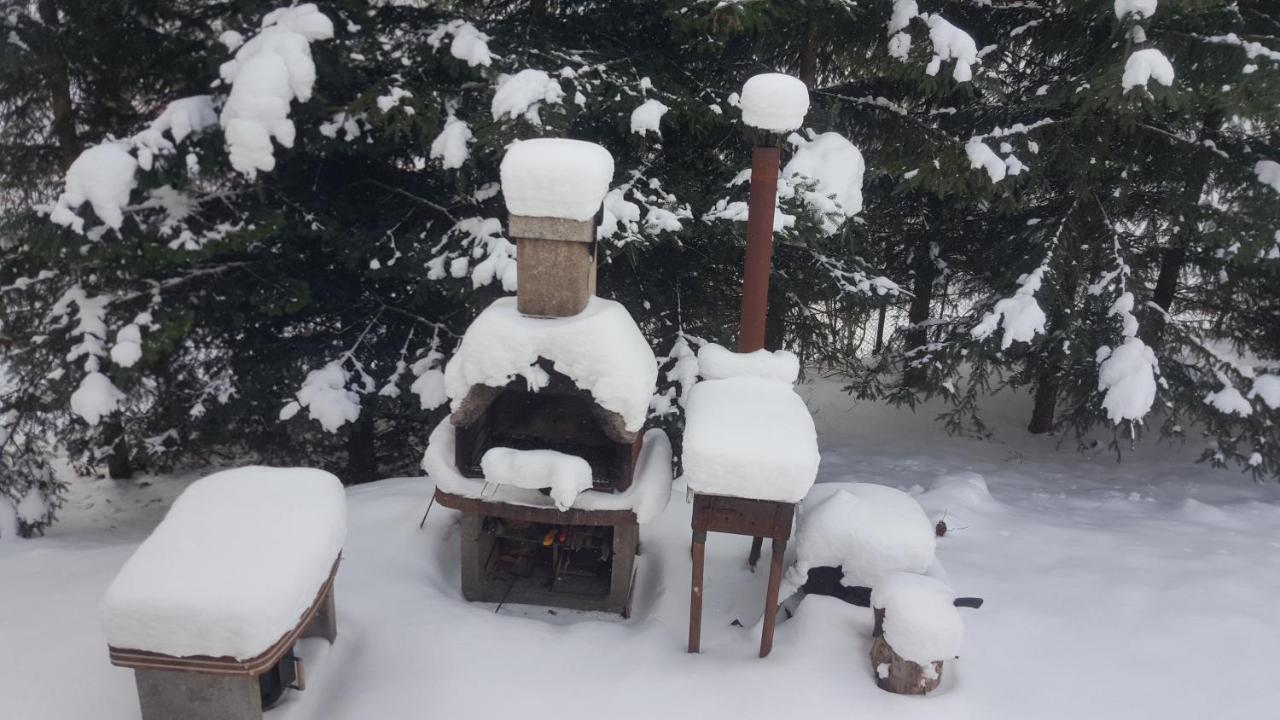 Buşteni C Houseヴィラ エクステリア 写真